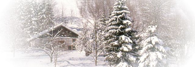 Les Vosges enneigées