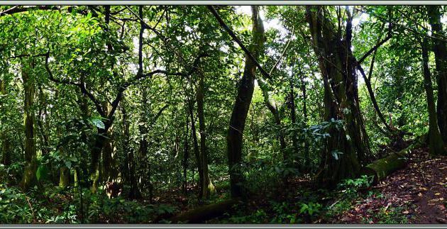 Images de Polynésie (2012) transférées depuis mon ancien blog