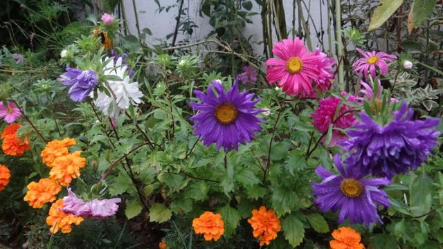 Fin de la Semaine 32/2017