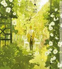 Découvrez le top 20 des plus belles couvertures Boy's Love 2020 !