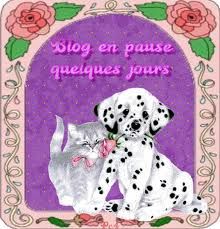 27 ans - Noces d'acajou