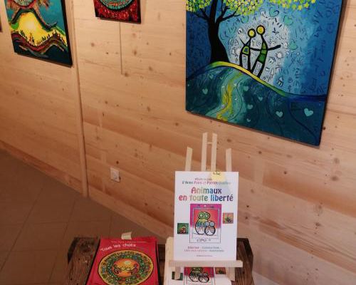 Une forêt enchantée