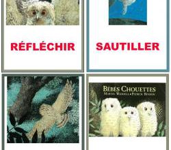 Image'mots des Bébés chouettes