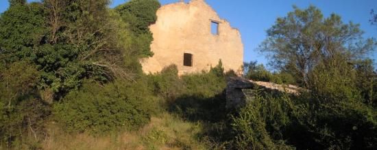 RUINE A OLLIERE, VAR