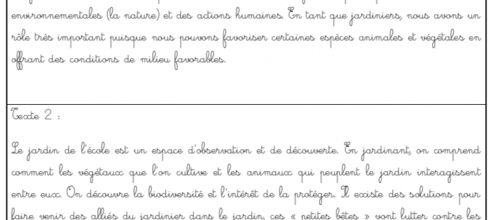 Rallye copie CE2 : « Environnement et jardin »