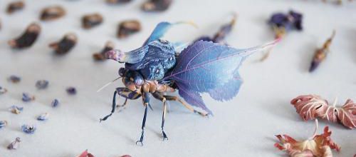 Hiroshi Shinno et ses insectes de l'étrange