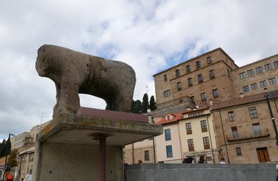 Les 14 et 15 avril 2025 : Salamanque 1 : la cathédrale