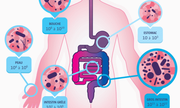 Savez vous ce qu'est notre microbiote ?