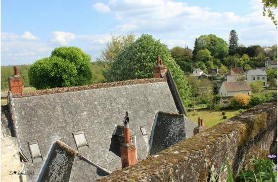 Le jardin St Louis à Loches 2017