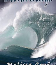 Free textbooks to download Storm Surge- Part 1: Book 8 in the Dar & Kerry Series  (English Edition)