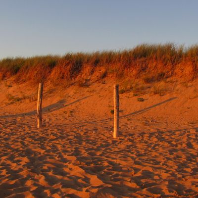  Citations extraites des Méditations du DALAÏ-LAMA (4)