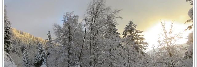 NEIGE - COUCHER DE SOLEIL SUR LE LAC D'ANNECY 2018