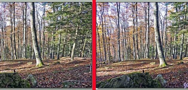 Paysages des Pyrénées (Année 2010)