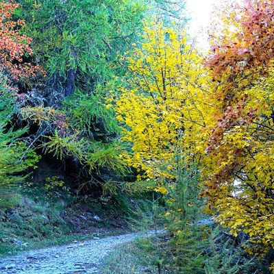 En route vers le Pic du Morgon