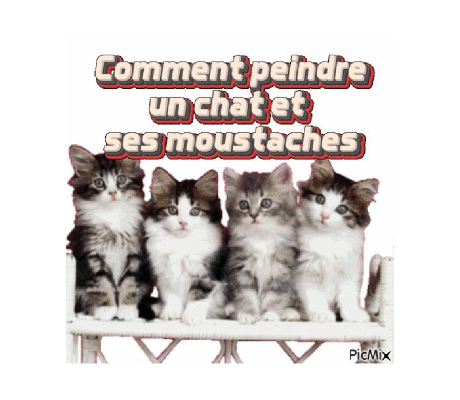 Dessin et peinture - vidéo 4497 : Comment peindre un portrait de chat avec moustaches ? - pastels secs.