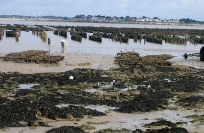 Le long de la côte