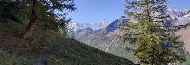 La Félicité du loup, Paolo Cognetti, traduit de l’italien par Anita Rochedy (Stock)