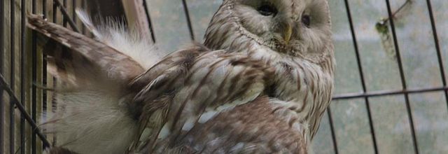 La photo du weekend : Chouette c'est le weekend !
