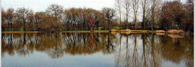 85 . Vendée - La Chaize le Vicomte (18) - Etang communal
