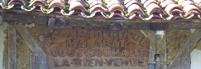 Journée VPM à la Ganaderia de Malabat