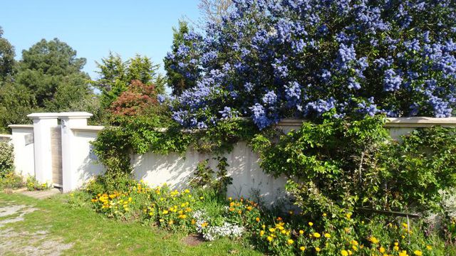 Bleu printemps 
