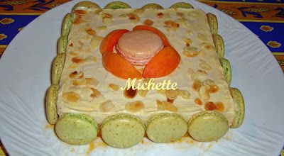 Gâteau glacé au sorbet à l'abricot, glace au miel et romarin, macarons