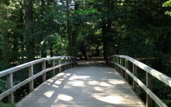 PROMENADE  A WASSENAAR....