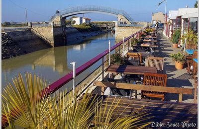 85 . Vendée - Bouin (1) - Port du Collet