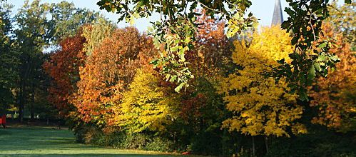 Parc du Jau