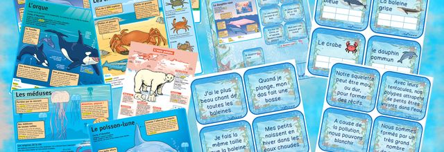 Devin'Animaux Marins