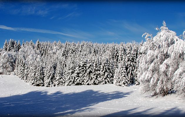 Balade en neige sauvage: 2