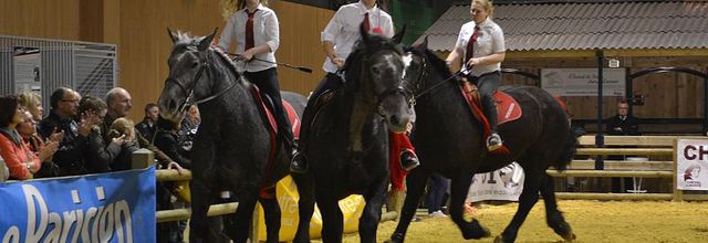 Salon de l'Agriculture 2014 : Le Cob Normand