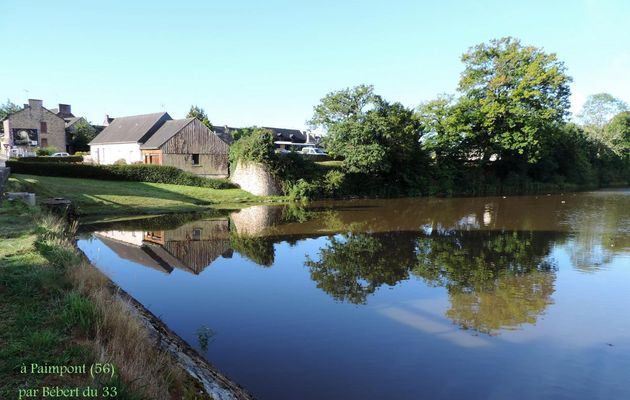 reflets à Paimpont (56)