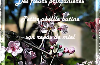 Printemps au jardin