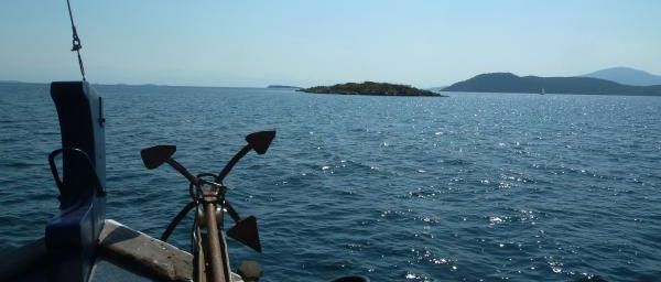 La faune du golfe ambracique * Αμβρακικού Κόλπου
