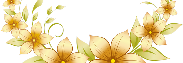 ✿*ﾟYellow flowers