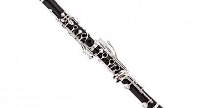 En avant la musique (7)