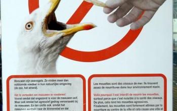 En Belgique la loi a du mal à contrer les actes inappropriés (et ailleurs aussi sans doute...)