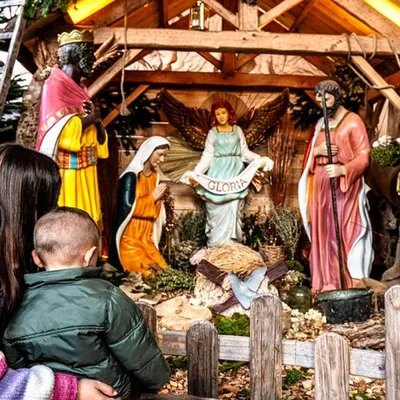 Les crèches de Noël chauffées par des ânes et de beaufs. 