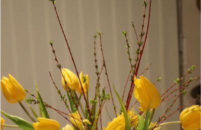 Tulipes jaunes et branchage