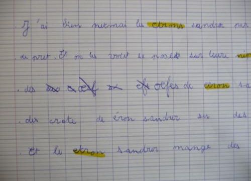 Anecdotes à Institland