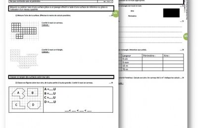 CM1 - Evaluation sur les aires