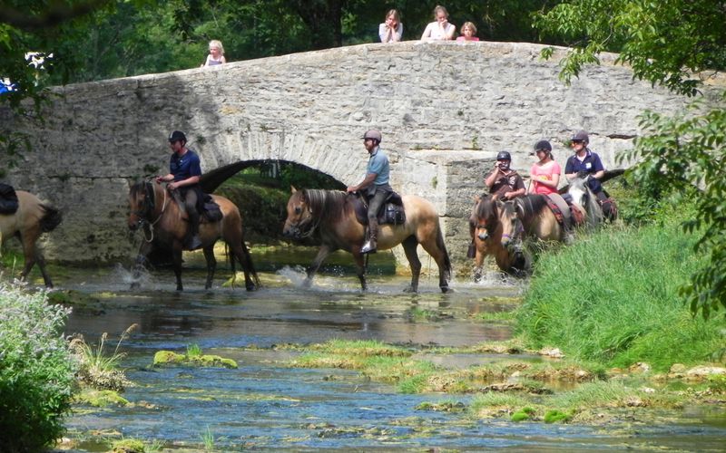 des cavaliers sur la rivière ...