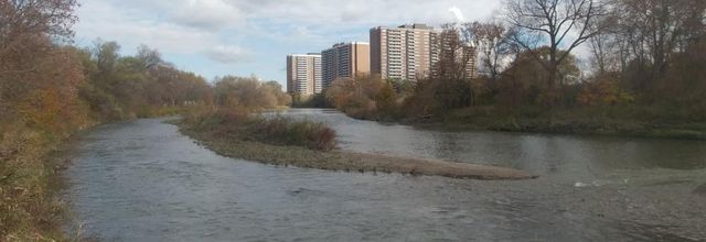 November Break in Toronto: Day Four