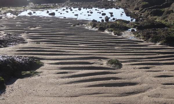 Marée basse