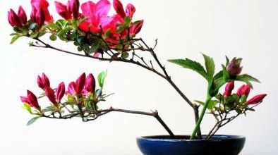 L'Ikebana