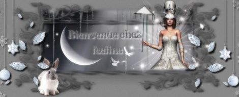 Bienvenue chez Feeline