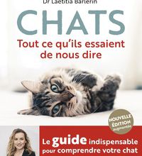 Read online: Chats  - Tout ce qu'ils essaient de nous dire