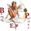 Blog en pause !