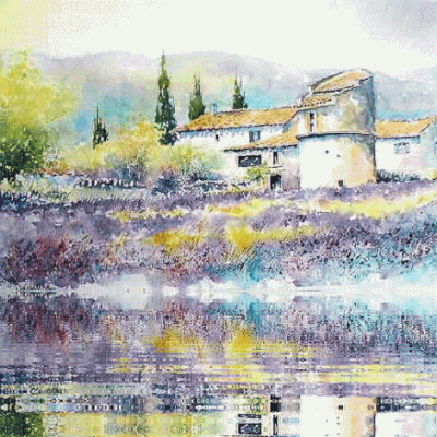                                                 **   LES DERNIERES LAVANDES de L'Eté..!!**